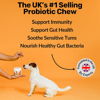 Snacks Prebióticos para Perros - Salud Digestiva e Intestinal