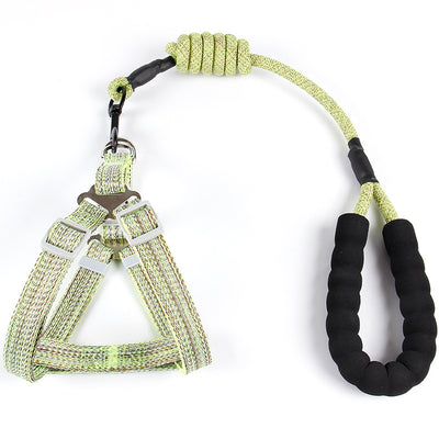 Correa de Pecho Nylon para Perro con Cadena Trenzada - Diseño Fashion - Image 11
