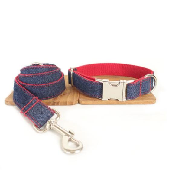 Collar para Perro con Diseño Creativo y Duradero