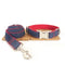 Collar para Perro con Diseño Creativo y Duradero