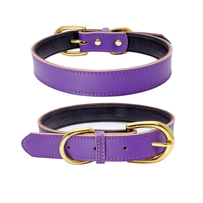 Collar para Mascotas de Cuero Genuino - Image 6