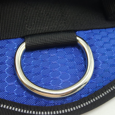 Arnés Personalizado para Mascotas - Image 4