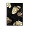 B sem Moldura 10 X 15 cm