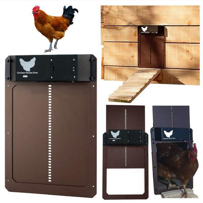 Puerta Automática para Gallinero Coop - Image 4