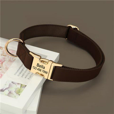 Collar de Adiestramiento para Perros Pequeños Corgi - Image 3