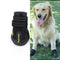 Botas Impermeables para Perros - Protección Total para sus Patas
