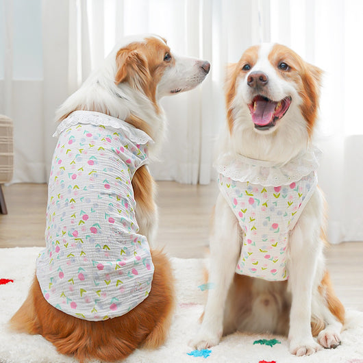 Suéter Transpirable de Algodón Puro para Perros y Gatos Grandes - Image 4