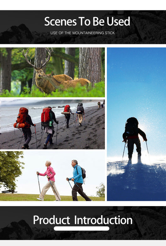Bastones de Trekking Ultraligeros Ajustables 5 Secciones - Postes Anti Impacto - Image 7