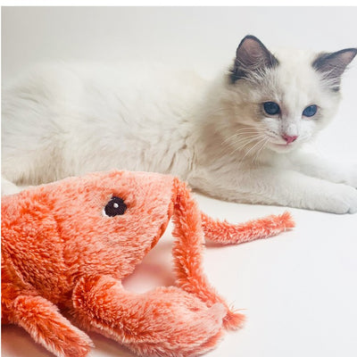 Pink plush shrimp pet toy with black eyes, designed for cats, on a white background. "Random color" text. - Image 10