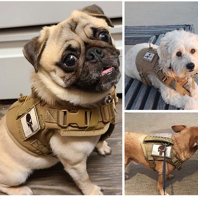 Black tactical pet harness made of Oxford cloth with an American flag patch, top handle, and quick-release buckles. - Image 5