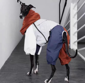 Chaqueta Impermeable para Perros Medianos - Protección Total Exterior - Image 11