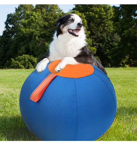 Blue and orange pet training ball with a fabric handle, designed for dogs like Shiba Inu and Corgi. - Image 13