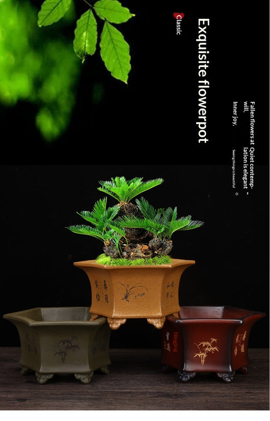 Maceta Hexagonal de Cerámica Transpirable para Orquídeas - Image 12