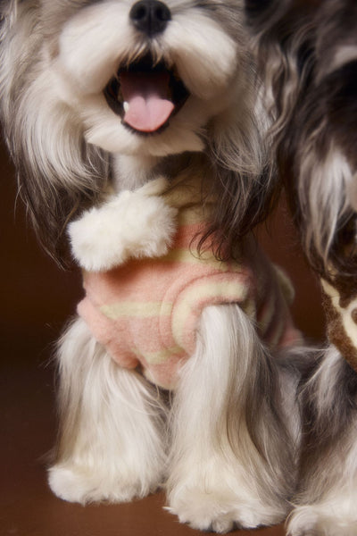 Suéter Acogedor de Galleta Felt para Mascotas - Otoño e Invierno - Image 24