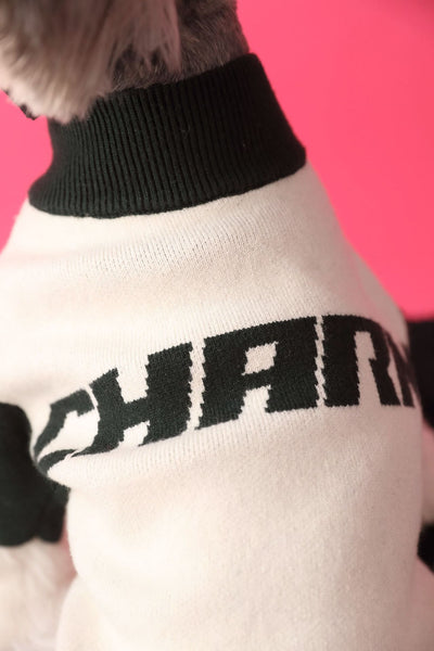 Suéter Deportivo para Perros - Cardigan Cómodo para Mascotas - Image 29