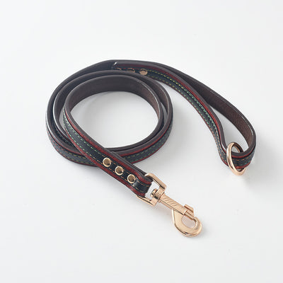 Correa y Collar para Perro - Sistema de Control Seguro - Image 19