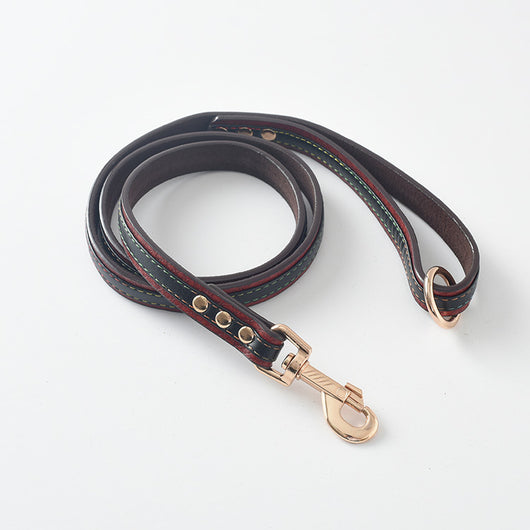 Correa y Collar para Perro - Sistema de Control Seguro - Image 19