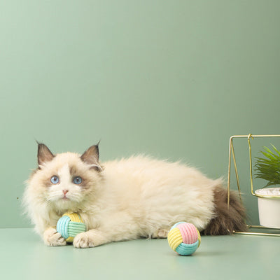 Juguete Interactivo de Pelota de Algodón para Gatos - Entretenimiento y Limpieza Dental - Image 6
