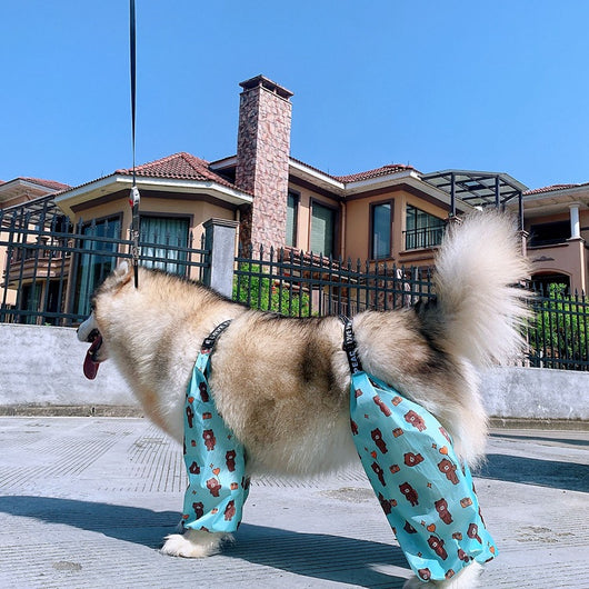 Impermeable Ajustable para Perros de Cuatro Patas - Image 19