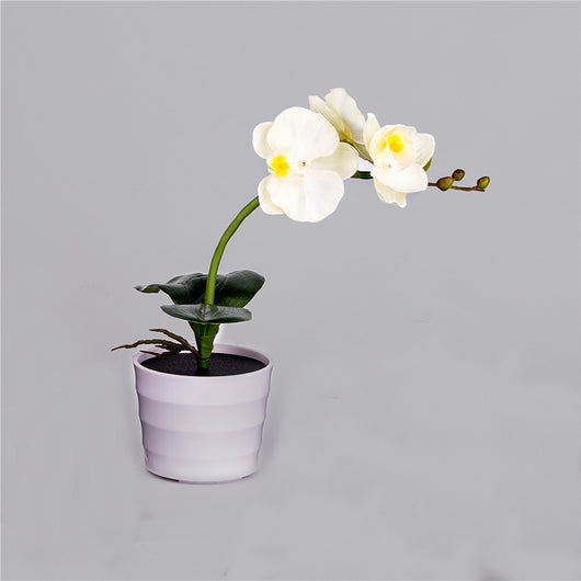 Lámpara Solar Orquídea con Mariposas Decorativas - Image 3