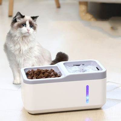 Dispensador Automático de Agua para Gatos Inteligente - Image 10