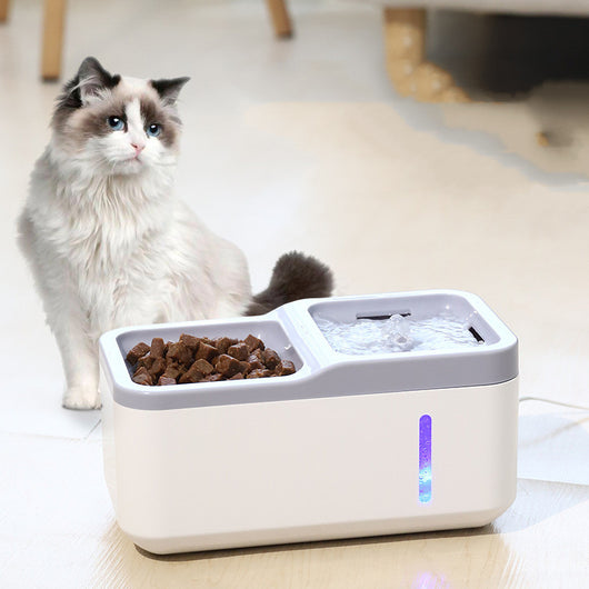 Dispensador Automático de Agua para Gatos Inteligente - Image 10