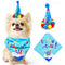 Banderín Triangular para Primer Cumpleaños de Mascotas