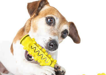 Palo Dental Resistente para Masticar - Limpieza de Dientes para Perros - Image 13