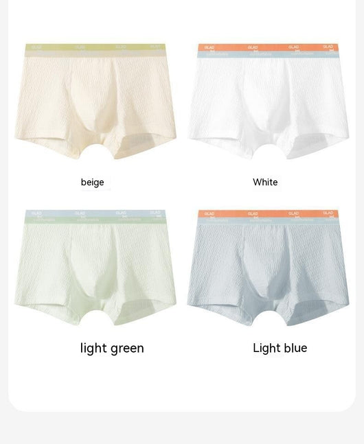 Shorts de Algodón Puro para Niños con Protección Antibacterial y Entrepierna Transpirable - Image 15
