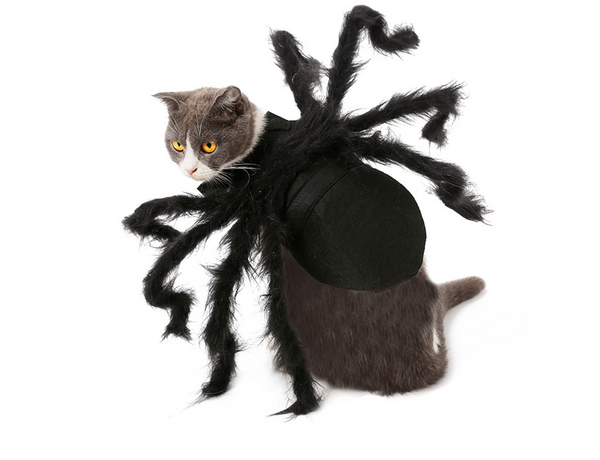 Disfraz de Araña Terrorífica para Mascotas - Traje Interactivo para Perros y Gatos
