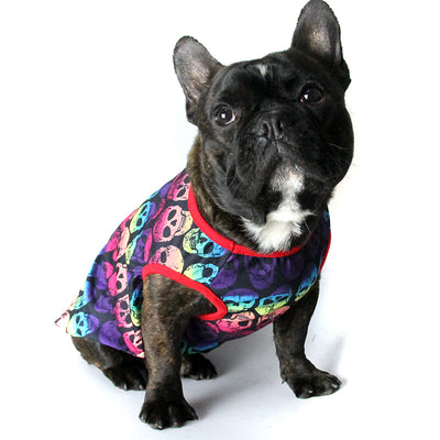 Ropa para Perros Pequeños - Abrigo Teddy para Bichón, Pomerania y Schnauzer - Image 9