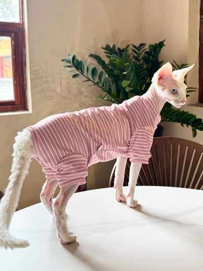 Ropa Transpirable para Gatos - Diseño Ligero y Fresco - Image 16