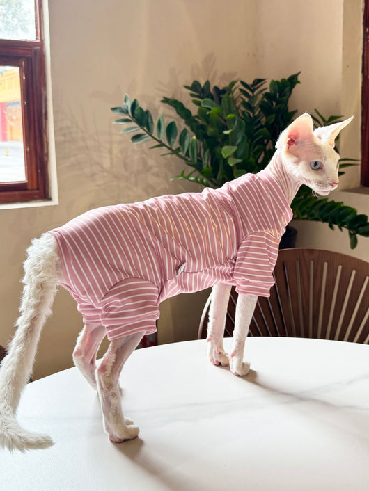 Ropa Transpirable para Gatos - Diseño Ligero y Fresco - Image 16