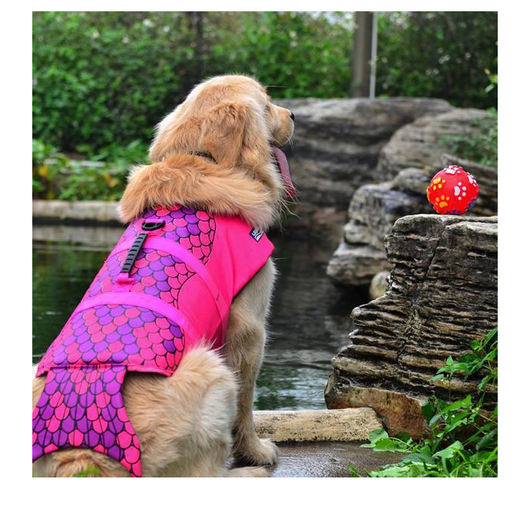 Chaleco Salvavidas para Mascotas - Ropa de Baño Protectora - Image 4