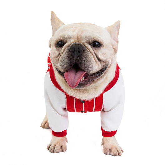 Ropa para Perros Bulldog - Abrigos y Accesorios Cómodos - Image 3
