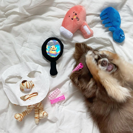 Set de 3 Juguetes para Perros con Limpieza, Soplado y Masaje - Image 8