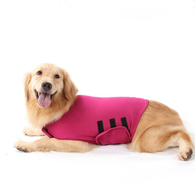 Chaleco Calmante para Mascotas - Ropa Antiansiedades - Image 8