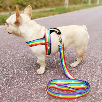 Arnés de Pecho para Perros Pequeños - Diseño Deportivo para Exteriores - Image 15