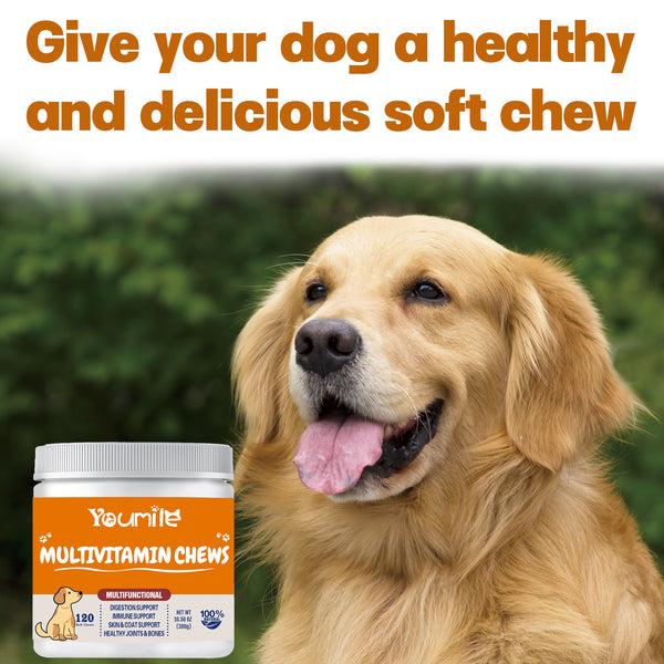 Youmile Multivitamin Chews for dogs, a white jar with an orange label, offering multifunctional health support for joints, skin, immunity, heart, gut, and antio
