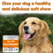 Vitaminas Multifuncionales para Perros - Cuidado Integral de Salud