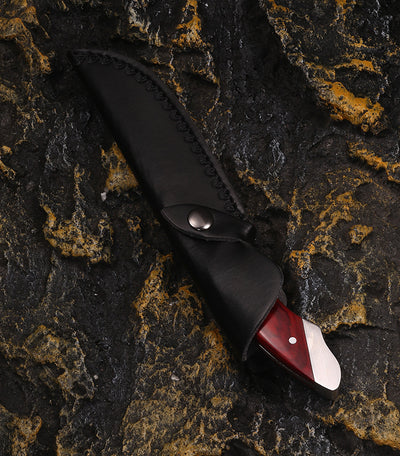 Cuchillo de Supervivencia Outdoor de Acero Cromado de Alta Dureza 9" - Image 14