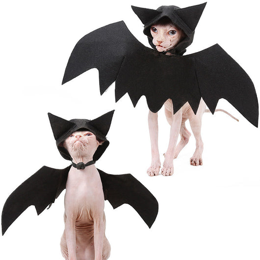 Alas de Murciélago para Mascotas - Image 3