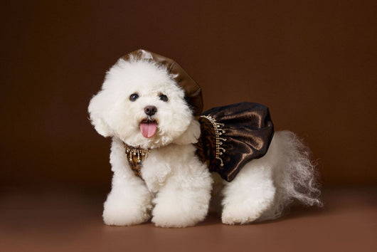Vestido Otoñal Estampado Leopardo para Perros - Image 19