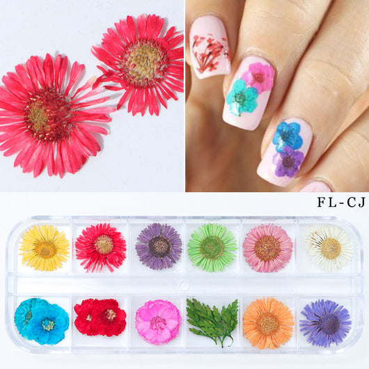 Flores Secas para Nail Art - Image 17