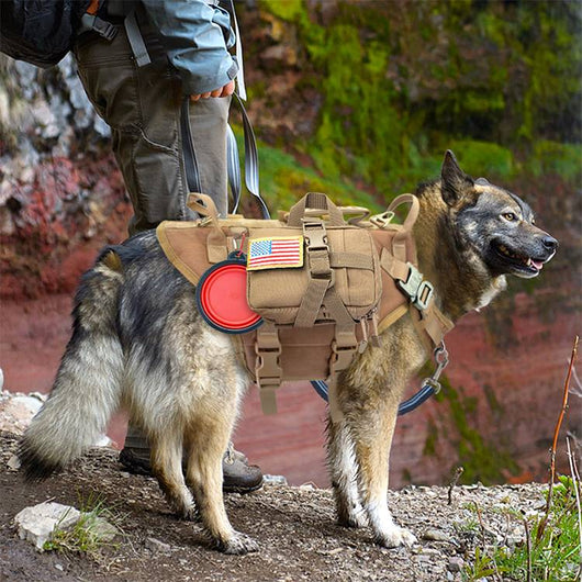 Arnés Táctico Profesional para Perros Grandes Malinois con Correa y Mochila de Entrenamiento