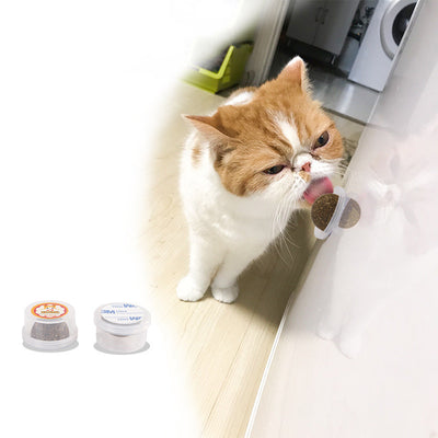 Four green cat grass or catnip balls on clear plastic bases, with a playful tabby kitten in the background. - Image 4