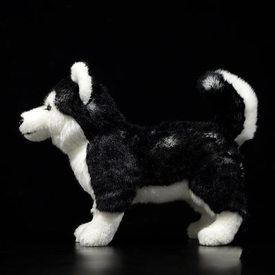 Peluche Husky de Ojos Mandarina - Juguete Perro Trineo - Image 5