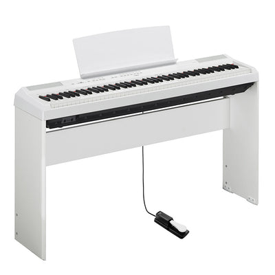 Pedal de Sustain Universal para Pianos Electrónicos - Image 12