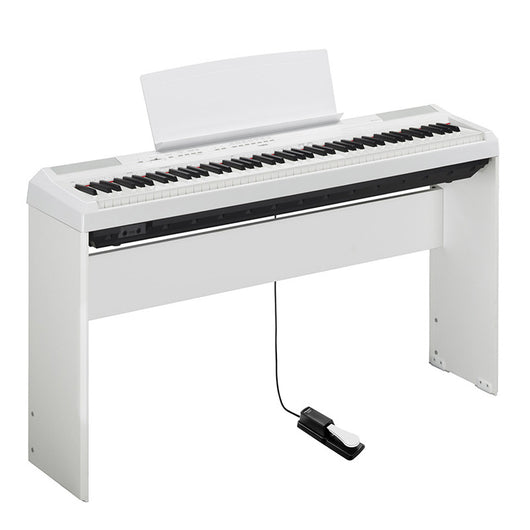 Pedal de Sustain Universal para Pianos Electrónicos - Image 12