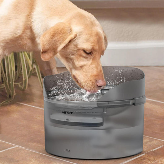 Dispensador Automático de Agua Circulante para Gatos y Perros - Image 3